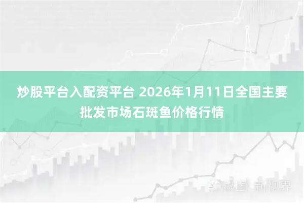 炒股平台入配资平台 2026年1月11日全国主要批发市场石斑鱼价格行情