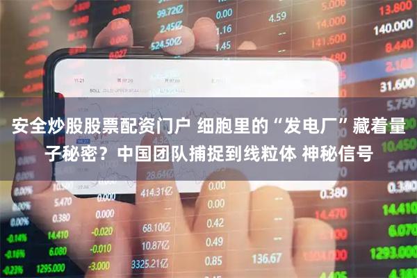 安全炒股股票配资门户 细胞里的“发电厂”藏着量子秘密?中国团队捕捉到线粒体 神秘信号